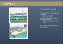 NC다이노스 구단분석과 NC다이노스 SWOT분석및 NC다이노스 활성화위한 마케팅전략 제안 14페이지