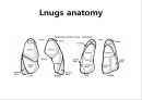 채위배액, 체위배담법 Postural Drainage.pptx 3페이지