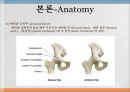 THRA PPT Anatomy 와 관련질환 수술방법  7페이지