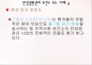 만성질환 ppt 25페이지