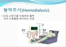 만성-신장질환 12페이지