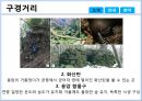 제주도 거문오름ppt 7페이지