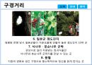 제주도 거문오름ppt 9페이지