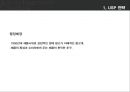 광고 크리에이티브 [크리에이티브 전략 대안][USP 전략] 2페이지