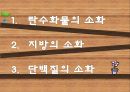 기계적소화 화학적소화 19페이지