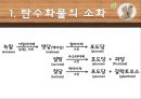 기계적소화 화학적소화 21페이지