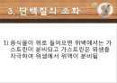 기계적소화 화학적소화 24페이지