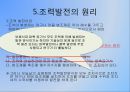 [조력발전기술] 조력발전에대한 전반적인 이론 및 현황.pptx 11페이지