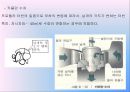 [조력발전기술] 조력발전에대한 전반적인 이론 및 현황.pptx 15페이지