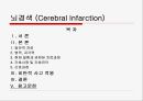 뇌경색 (Cerebral Infarction) 케이스  2페이지