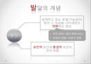 인지 발달 이론 - 발달 개념 및 요인, 피아제 Piaget 4페이지
