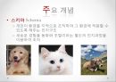 인지 발달 이론 - 발달 개념 및 요인, 피아제 Piaget 7페이지