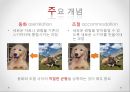 인지 발달 이론 - 발달 개념 및 요인, 피아제 Piaget 8페이지