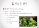 인지 발달 이론 - 발달 개념 및 요인, 피아제 Piaget 14페이지