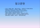 스포츠의 사회학적 이해  40페이지