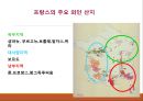 의 간략한 자료를 PPT로 구성 3페이지
