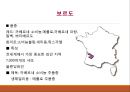 의 간략한 자료를 PPT로 구성 8페이지