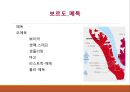 의 간략한 자료를 PPT로 구성 9페이지
