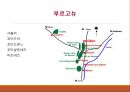 의 간략한 자료를 PPT로 구성 19페이지