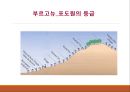 의 간략한 자료를 PPT로 구성 21페이지