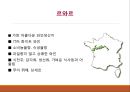 의 간략한 자료를 PPT로 구성 25페이지