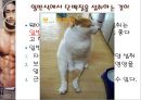 단백질 보충제가 웨이트 트레이닝에 미치는 영향.pptx 14페이지