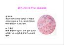 건강 웨이트트레이닝 - 웨이트 트레이닝의 모든 것.ppt 6페이지