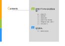 중국의 춘제/춘절(春節 : 春节 / chūn jié) 및 폭죽.ppt 2페이지