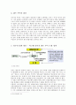 [렌트푸어] 렌트 푸어 (Rent Poor) - 렌트푸어의 개념, 렌트푸어의 현황, 렌트푸어의 특징, 사례 및 원인, 대책방안 7페이지