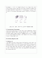 진단 방사선과 PK 레포트 MRI  9페이지