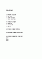 진에어(JINAIR) 마케팅실행전략 제안과 진에어 기업분석과 서비스전략분석 2페이지