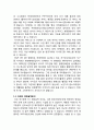 진에어(JINAIR) 마케팅실행전략 제안과 진에어 기업분석과 서비스전략분석 4페이지