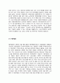 진에어(JINAIR) 마케팅실행전략 제안과 진에어 기업분석과 서비스전략분석 7페이지
