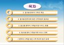 지방자치제와 지역사회복지 - 알코올 중독자 가족에 관해서 3페이지