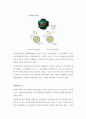 [에너지] 원자력 에너지(atomic energy)에 관해서 19페이지