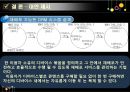 DRM & DRM FREE와  저작권법  25페이지