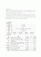 국외 여행업 사업계획서 7페이지