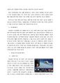 REDBULL 레드불 마케팅사례분석과 레드불 국내시장 실패요인분석 및 레드불 실패극복위한 새로운 마케팅전략제안 9페이지