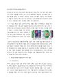REDBULL 레드불 마케팅사례분석과 레드불 국내시장 실패요인분석 및 레드불 실패극복위한 새로운 마케팅전략제안 12페이지