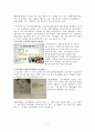 지역 10페이지