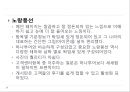 [관광정보시스템]사이트분석,여행사 하나투어vs노랑풍선,비교분석 16페이지