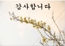 [관광정책론] 세계7대자연경관 선정 제주도의 관광현황, 문제점 및 해결방안.pptx 18페이지