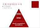 [국제 NGO분석] International Red-Cross & Red-Crescent Movement - 적십자운동의 소개, 대한적십자사, 대한적십자의 역할, 사례 연구.PPT자료 7페이지