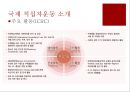 [국제 NGO분석] International Red-Cross & Red-Crescent Movement - 적십자운동의 소개, 대한적십자사, 대한적십자의 역할, 사례 연구.PPT자료 11페이지