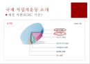 [국제 NGO분석] International Red-Cross & Red-Crescent Movement - 적십자운동의 소개, 대한적십자사, 대한적십자의 역할, 사례 연구.PPT자료 14페이지