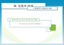 [성폭력 대처 관련법] 성폭력대처 입법의 정당성과 한계와 이상적인 성범죄관련법 제정방안 21페이지