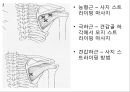 오십견 재활 운동 (Adhesive capsulitis, 1단계 통증 경감 시기, 2단계 적극적 가동범위 회복, 3단계 견갑대 강화 시기).PPT자료 23페이지