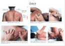 오십견 재활 운동 (Adhesive capsulitis, 1단계 통증 경감 시기, 2단계 적극적 가동범위 회복, 3단계 견갑대 강화 시기).PPT자료 24페이지