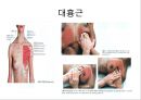 오십견 재활 운동 (Adhesive capsulitis, 1단계 통증 경감 시기, 2단계 적극적 가동범위 회복, 3단계 견갑대 강화 시기).PPT자료 25페이지