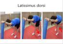충돌 증후군 재활 운동 (정의, 원인, 진단, 치료, Neer의 Impingement syndrome 세 단계 분류, 재활운동, 1단계 어깨 스트레칭, 2단계 어깨 체형 교정, 3단계 어깨 견갑대 강화 운동).pptx 26페이지